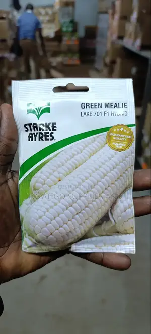 Sweet Corn Seeds-9gm