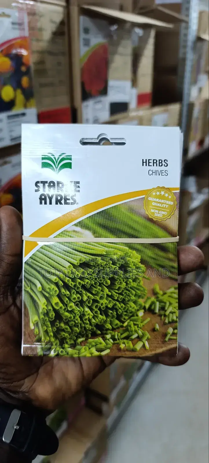 Chives Seeds (Herbs)