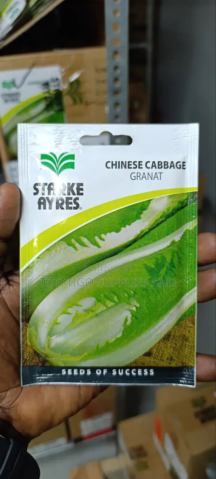 Chives Seeds (Herbs)