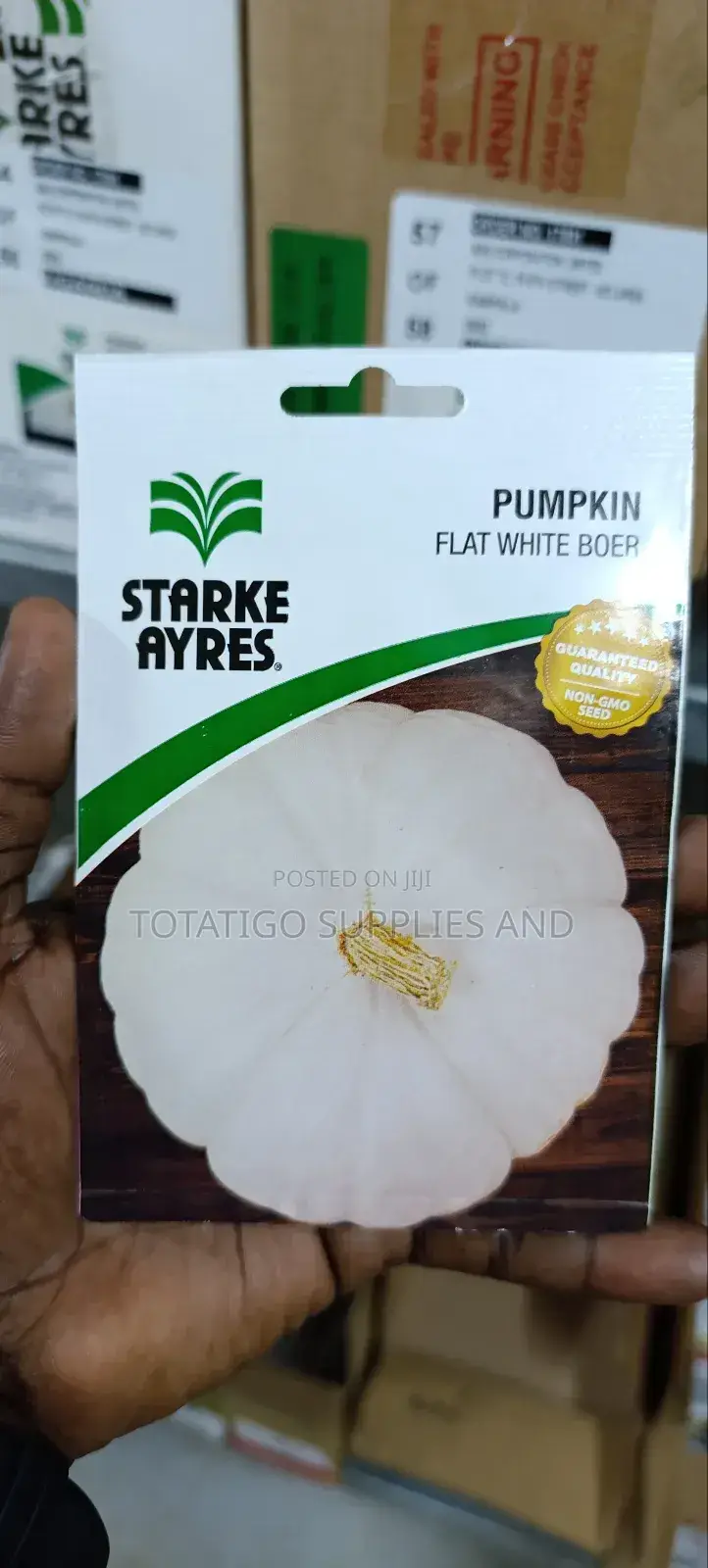 Pumpkin Seeds