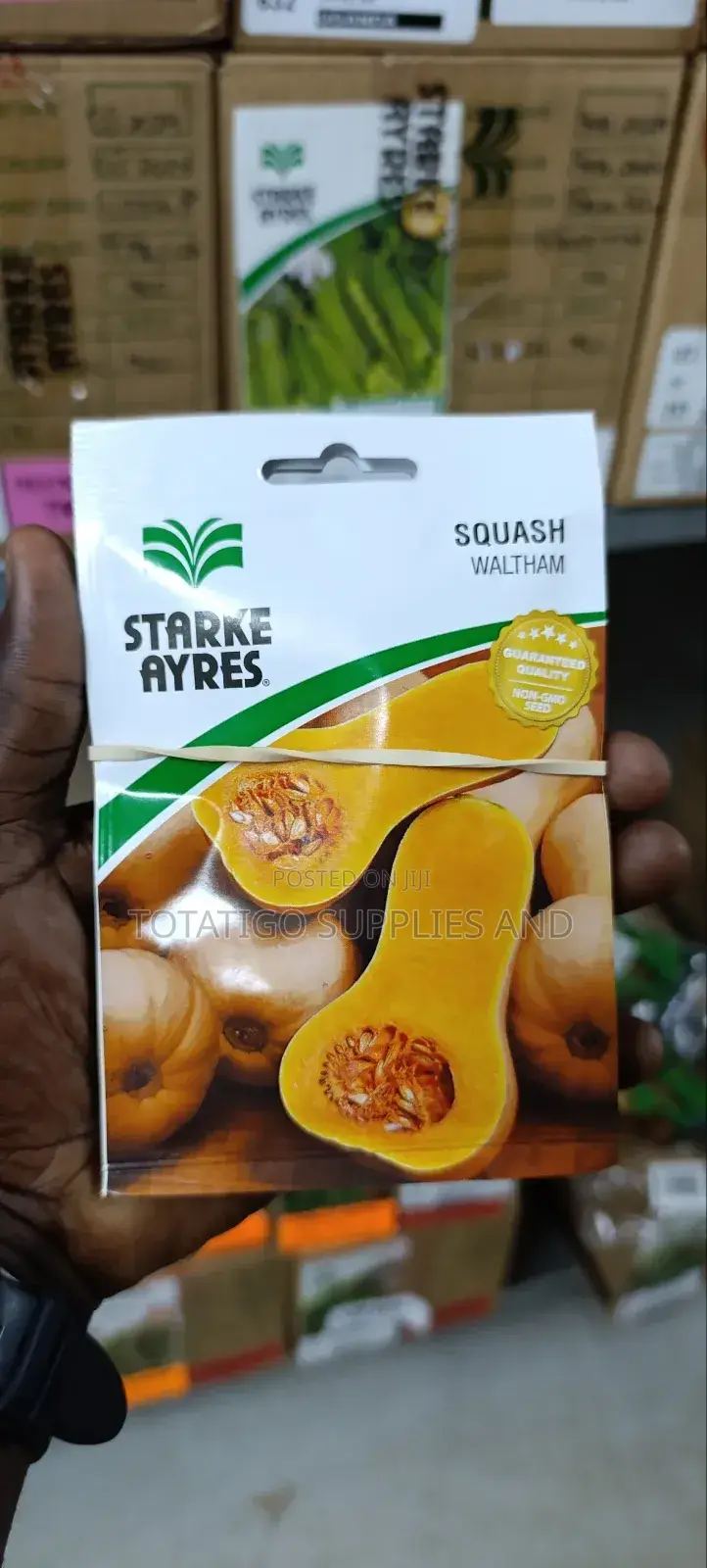 Pumpkin Seeds