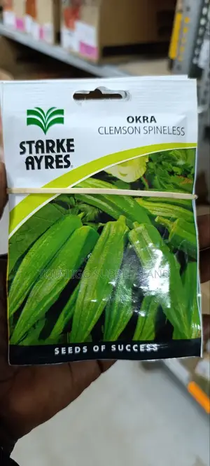 Pumpkin Seeds