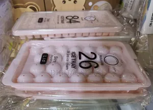 Durable Plastic Ice Cubes Tray