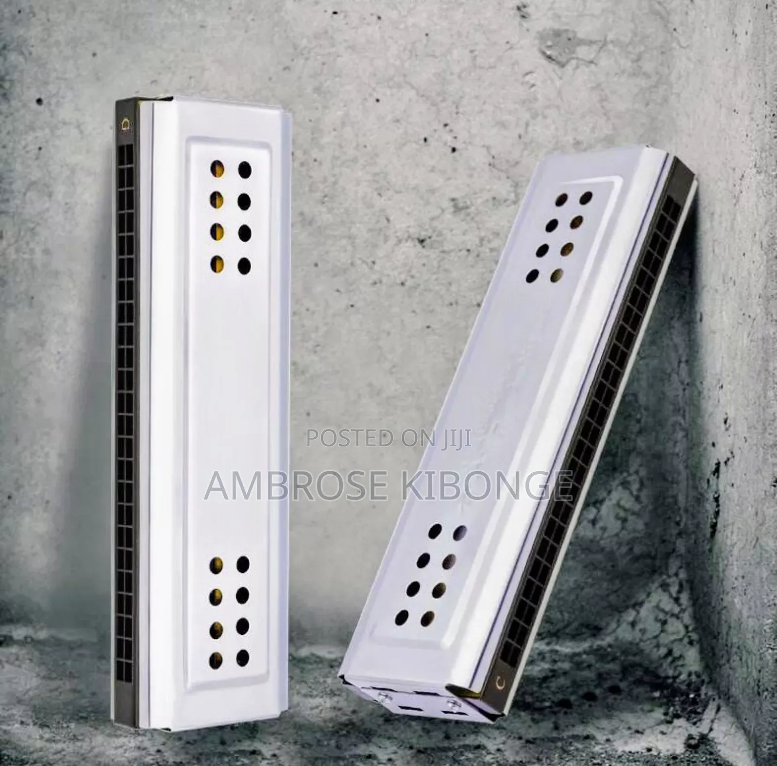 Original Professional Harmonica and Case Clear Sound Quality