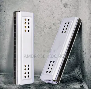 Original Professional Harmonica and Case Clear Sound Quality