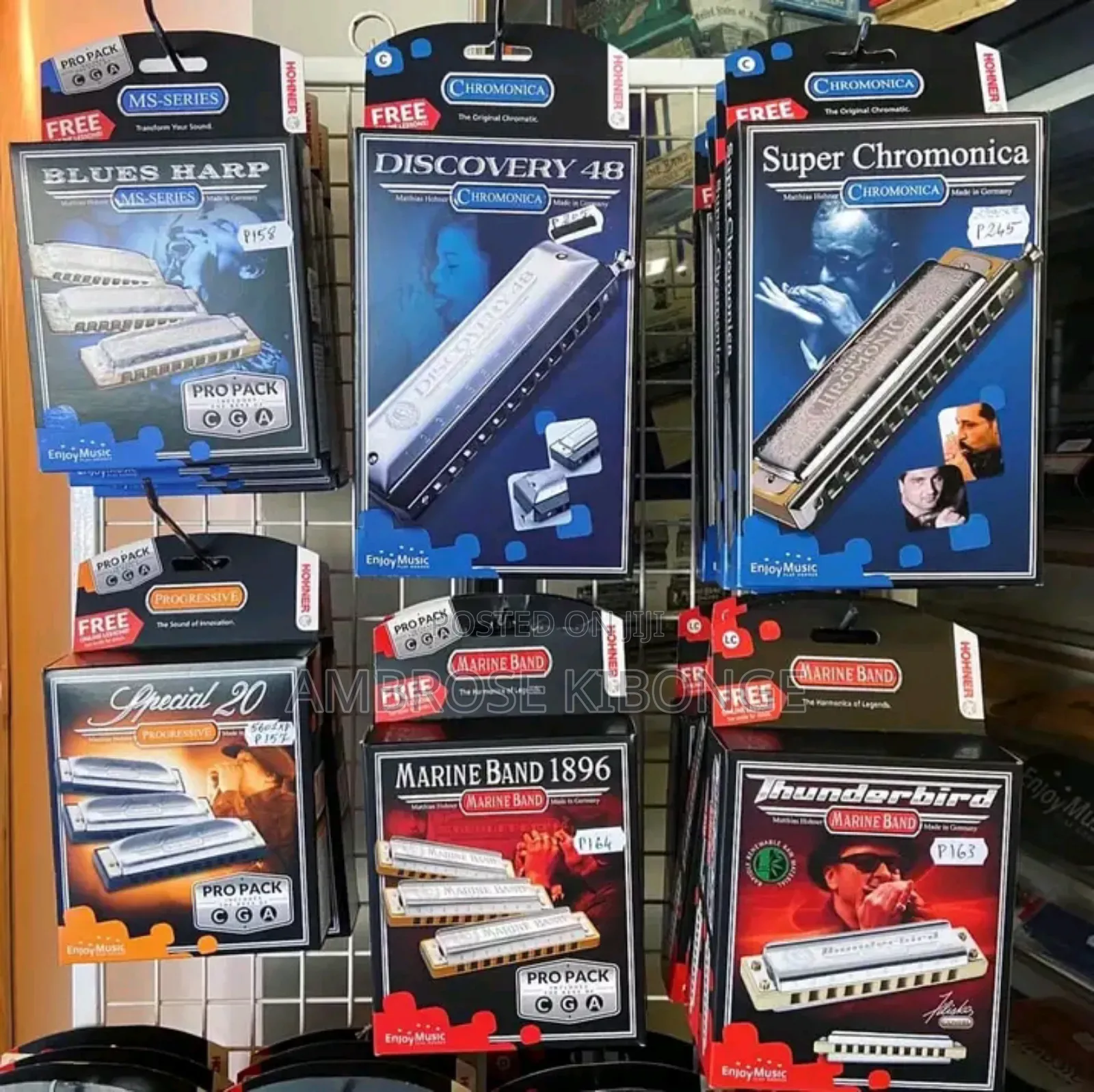 Original Professional Harmonica and Case Clear Sound Quality