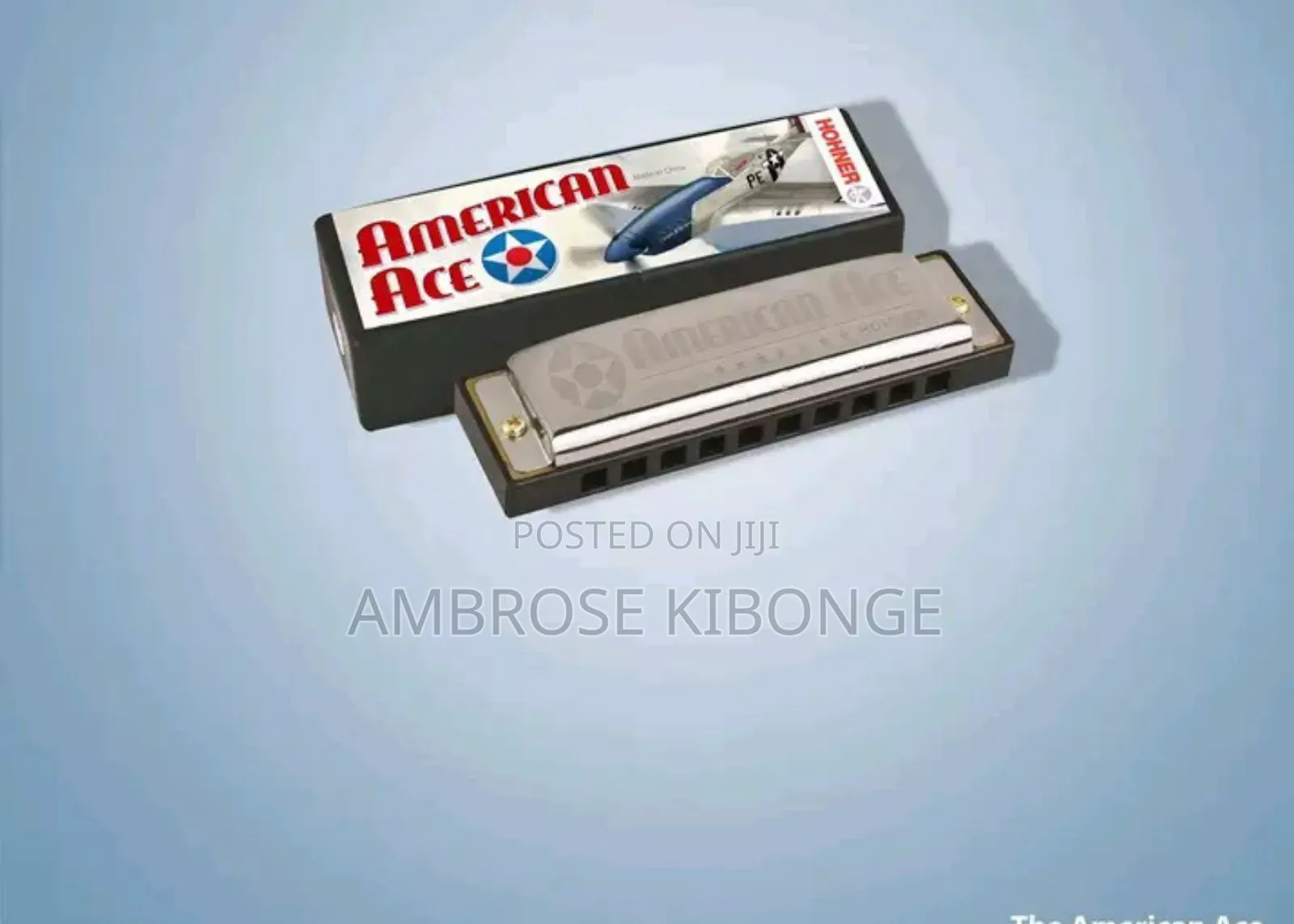 Original Professional Harmonica and Case Clear Sound Quality