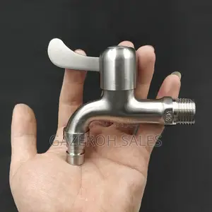 Stainless Steel Wall-Mount Faucet