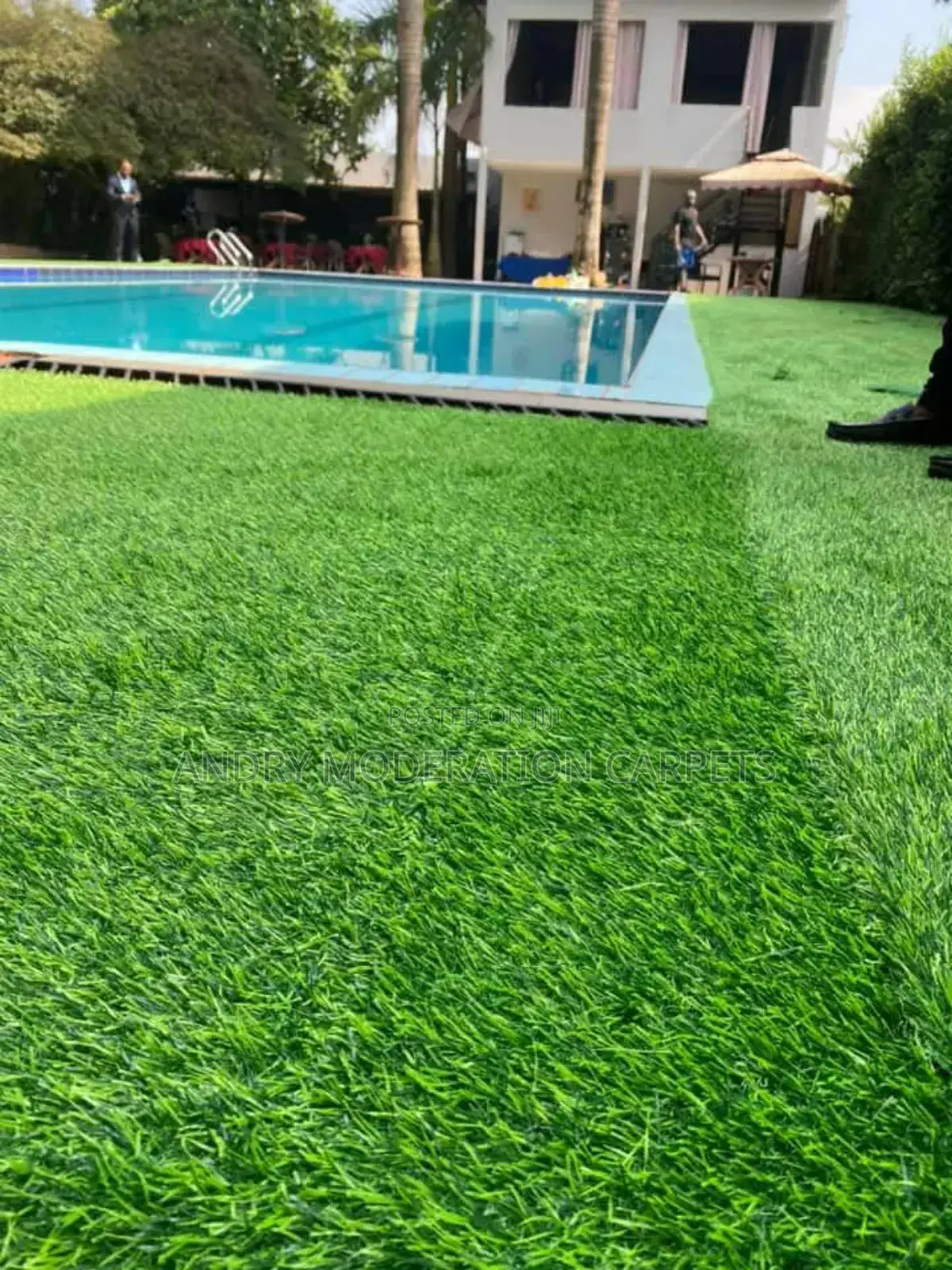 Swimming Pool Grass Carpet