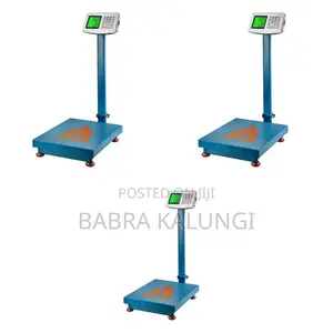 Weighing Machine Platform Scale