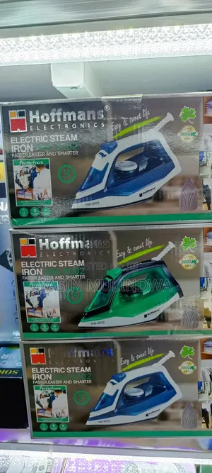Electric Steam Iron