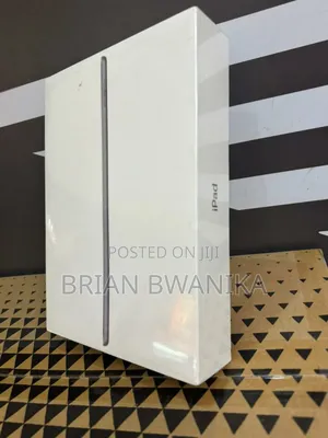New Apple iPad (2022) 256 GB Gray