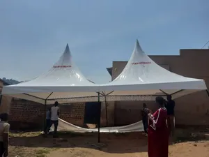Canopy 100seater Tent