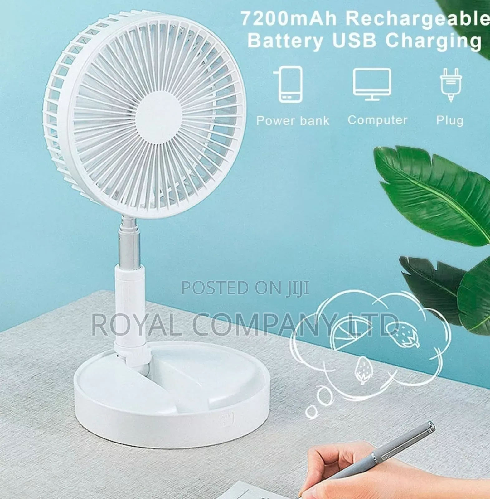 Rechargeable Fan
