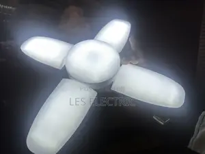 Fan Bulb 60watts