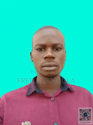 Secondary School Mathematics Teacher