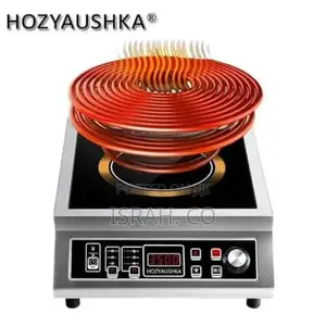 Single Burner Commercial Induction Cooker Electric