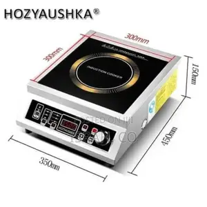 Single Burner Commercial Induction Cooker Electric