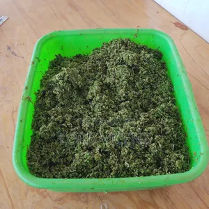 Azolla,Hydroponic Fodder and Black Soldier Fly Farming