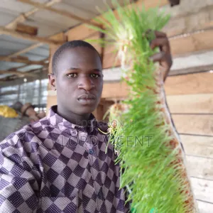 Azolla,Hydroponic Fodder and Black Soldier Fly Farming