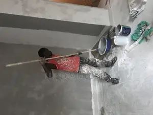 House Painters Available