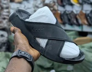 Luxurious Men Ecco Sandals