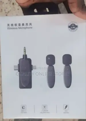 Mini Wireless Microphone