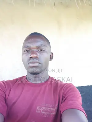 Primary School Mathematics Teacher