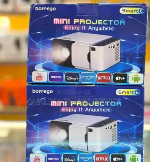 Mini Borrego Projector