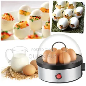 Unique Standard Egg Boiler