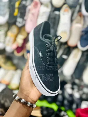 Extreme Sports Vans