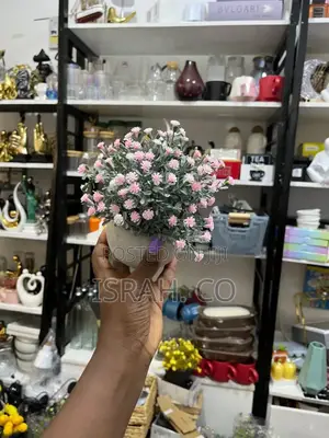 Flowers And Pot