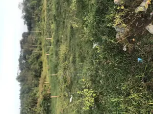 11decimals Plot for Sale in Wakiso Namusera