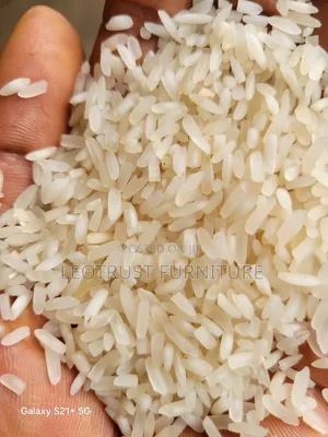 Rice at Factory Prices