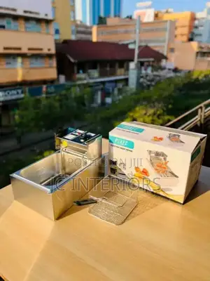 Electric Deep Fryer