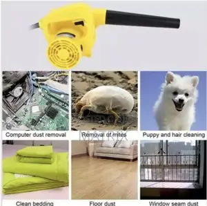 Dust Blower Respirator
