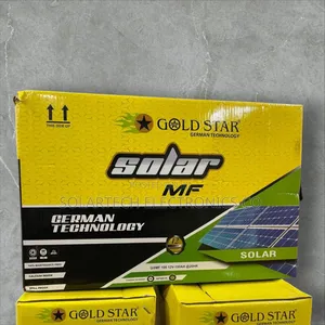 100ah German Technology Gold Star Mf Solar Batteries Fehn