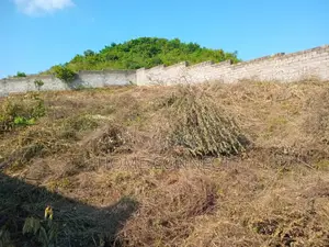 Mixed Use Land for Sale With Access to the Tarmac