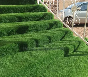 Good Quality Artificial Grass Carpet Available at Cheap Pric
