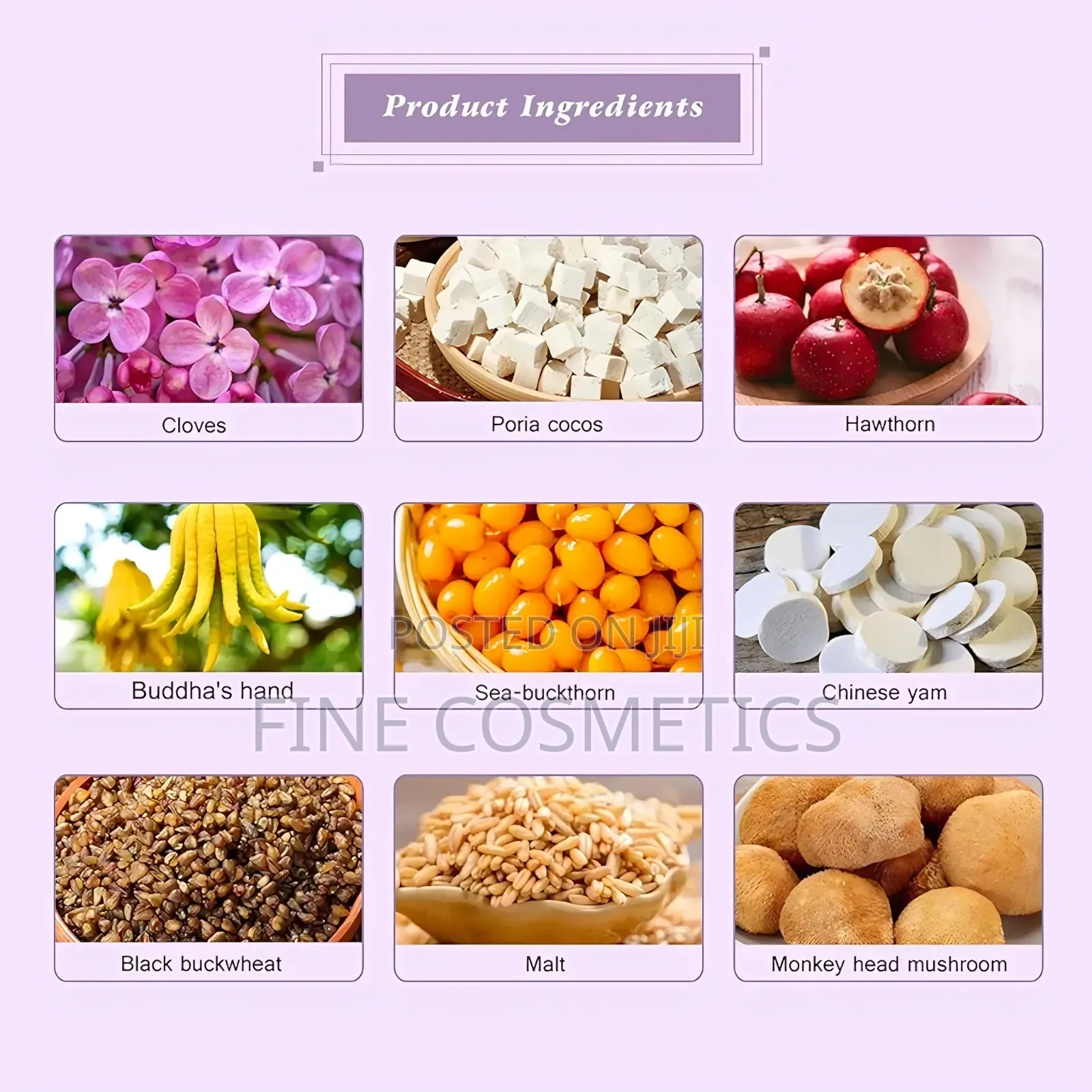 Wholesale Only Ulcer Solution Tea Stomach Gastritis Regulate