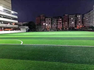 Artificial Colored Turf Per Square Meter Available in Meters