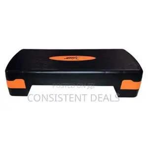 Mini Aerobic Stepper