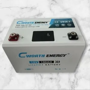 100ah Cworth Energy Lithium Solar Battery Fehm