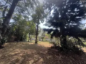 Plot for Sale in Bugolobi 77 Decimals