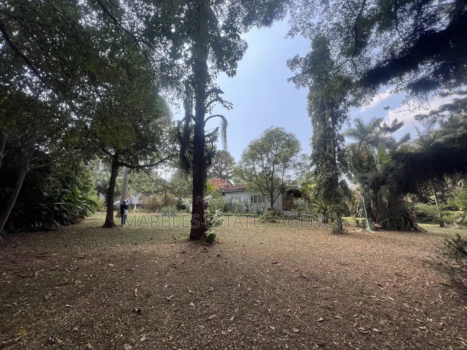 Plot for Sale in Bugolobi 77 Decimals