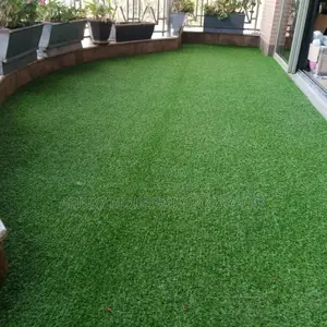 Balcony Executive Grass Carpet