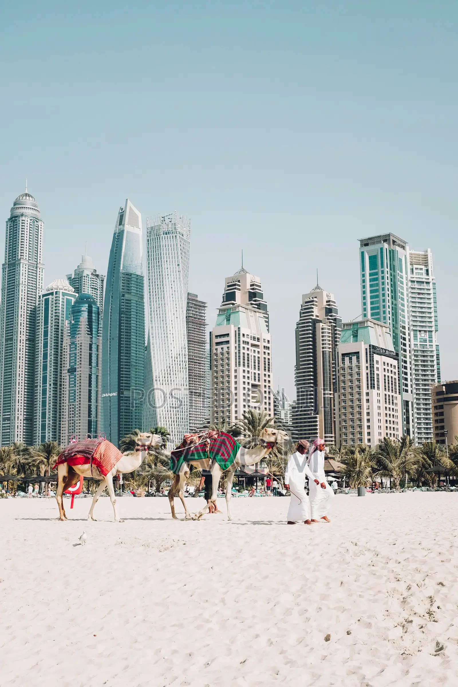 Employment Opportunities Available in Arab Countries.