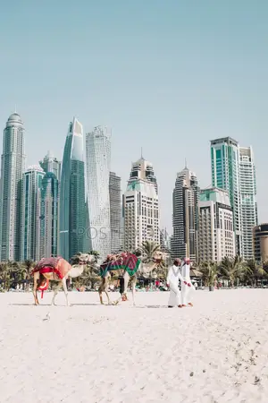 Employment Opportunities Available in Arab Countries.