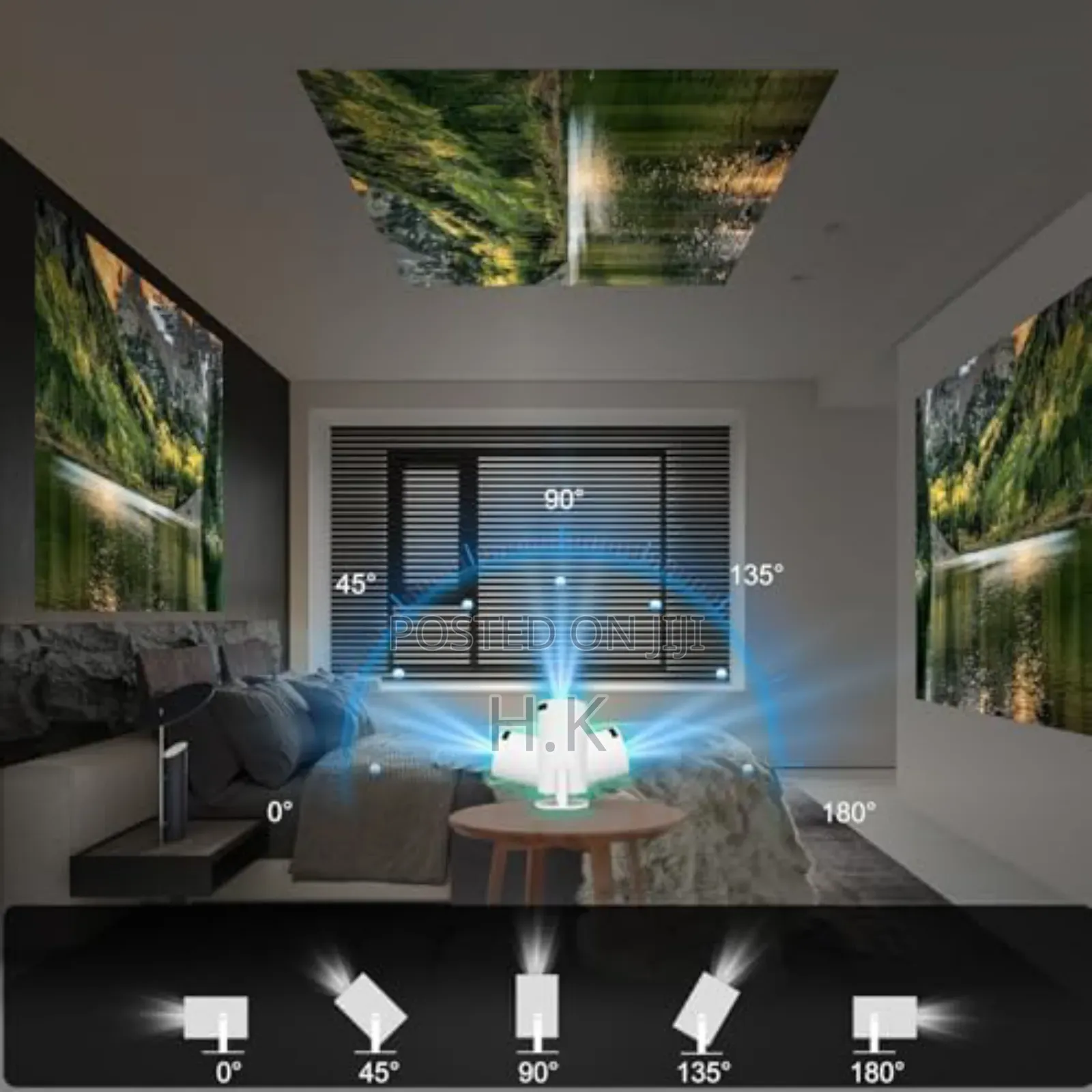 Portable Projector