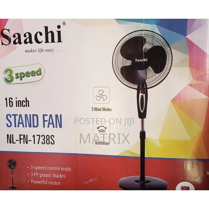 Saachi Stand Fun